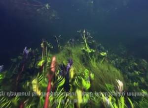 Nature is Speaking: New ad campaign with participation of biggest names in Hollywood 