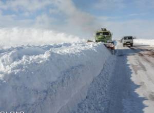 Полиция РА призывает водителей проявлять крайнюю бдительность 
