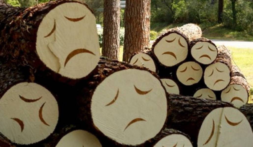 poor-little-trees2