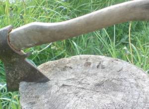 Զանգահարել է ոստիկանություն և հայտնել, որ կացինով մարդ է խփել