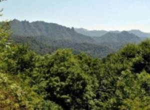 Adversary fires at Barekamavan village: Aravot