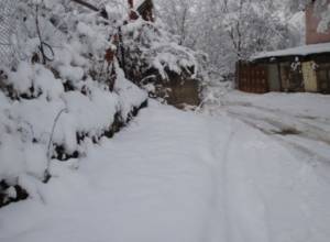 Առատ ձյունը ոչ բոլորին է անհանգստացնում