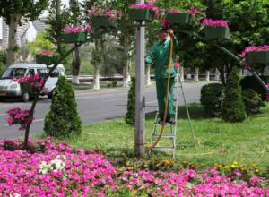 Temperature to rise by 4-6 degrees