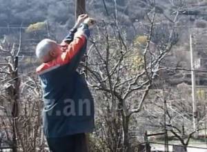 Քաղաքում՝ գյուղական կենցաղով