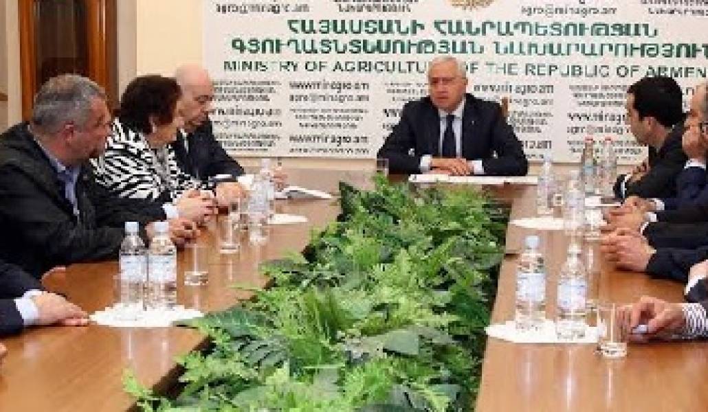կաթ