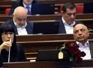 Parliamentary factions join Naira Zohrabyan's initiative