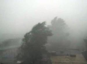 Այսօր քամուց ծառ է շրջվել, տանիք վնասվել