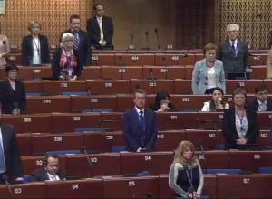 “Only one representative of Turkish delegation stood up”