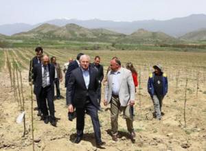 Գյուղնախարարը վստահեցրել է` բերքի մթերումների հետ կապված  խնդիրներ չեն լինելու