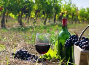 Ֆրանսիացի գինեգործները դիտարկումներ են իրականացրել ՀՀ-ում