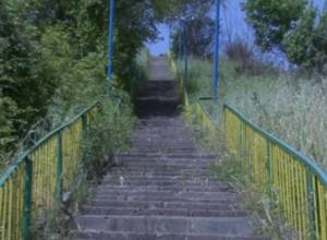 Կանաչով պատված աստիճանները լի են վտանգավոր զեռուններով ու սողուններով