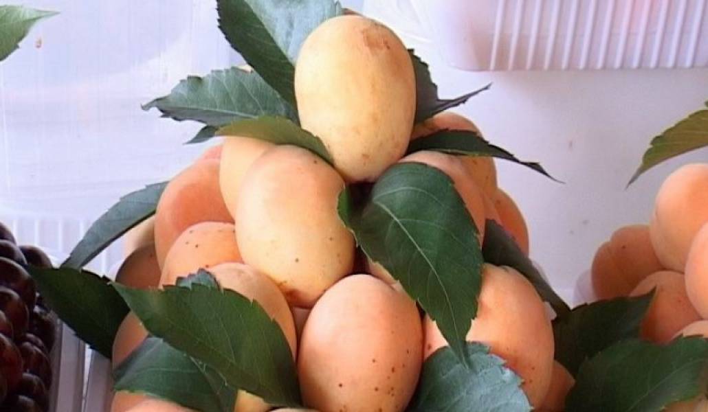 10d2cf119d711bb34b1249a263fe43e6