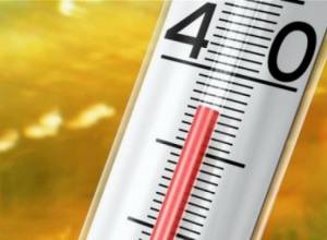 The unprecedented rise in temperature caused panic in the world