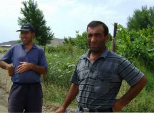 There is only sun in Arevadasht