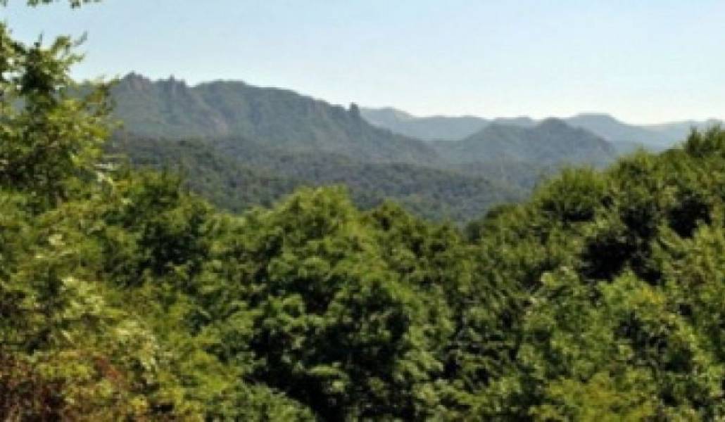 3ea193cbd6942f1a20131b412cffa4ff