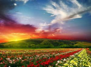 Warm weather to continue