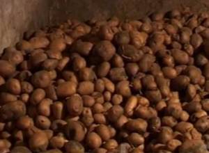 Doesn't Armenia harm Javakhk by supplying potatoes to Georgia?