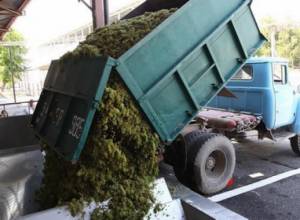 «Խաղողային հայկական դրաման»՝ վրաց-մոլդովական հաջողության ֆոնին