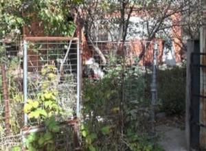 Խավար տնակ` լուսավոր ապագայի սպասումով. Ցայգ