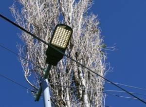 В приграничном селе появилось освещение