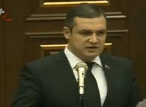 "Министерство диаспоры должно возвращать людей, а не заниматься гражданством"