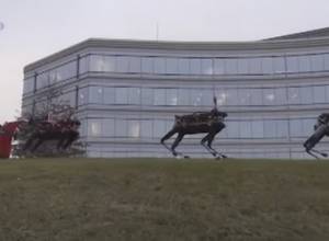 Deer-robots to replace real animals