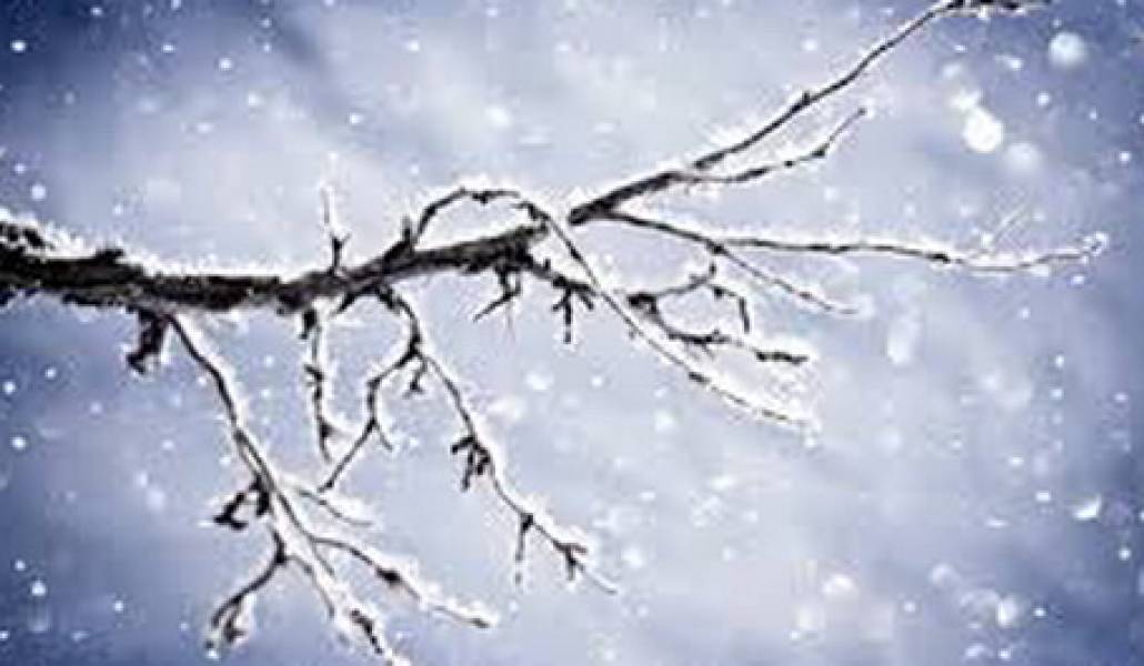 snow3