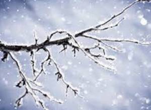 Snow predicted tomorrow