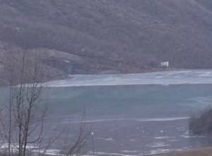 Ընկույզի ծառը չորացել է. պոչամբարի վնասները
