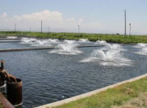 Ինչ կապ ունեն ձկնաբույծները Արարատի ջրերի հետ