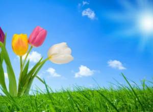 Air temperature to decrease