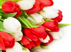 Four-day holiday on the occasion of March 8