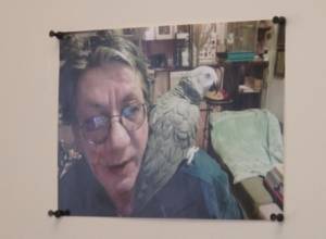 Սամվել Մկրտչյանի «հետմահու» Շեքսպիրը