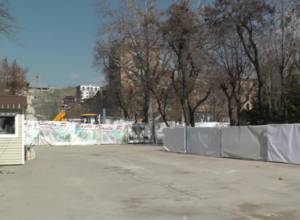 Municipality: Reports about felling are false