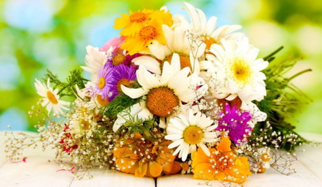 Flowers1
