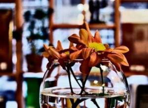 Встречи в Бюрократе