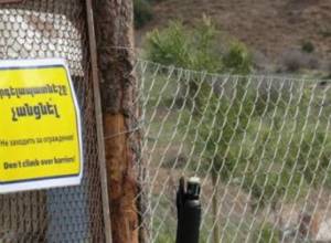 Попытался “приласкать” льва: Разъяснение