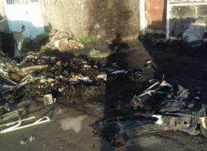 Вандализм по отношению к мусорным бакам