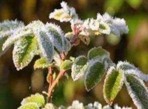 Продолжают регистрироваться отрицательные температуры