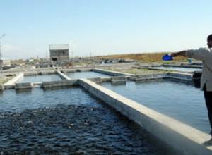 Ստուգվում են ձկնաբուծարանները