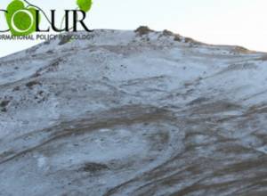 ЭкоЛур: Снижение затрат в Амулсарской программе произойдет за счет экологии