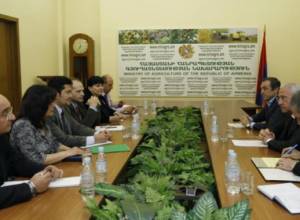 Քննարկվել են արտահանման ծավալների ավելացման հարցեր