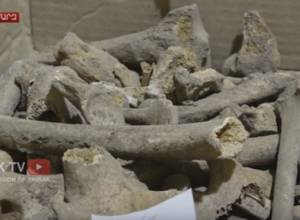 Շիրակի մարզում դամբարաններ են հայտնաբերվել