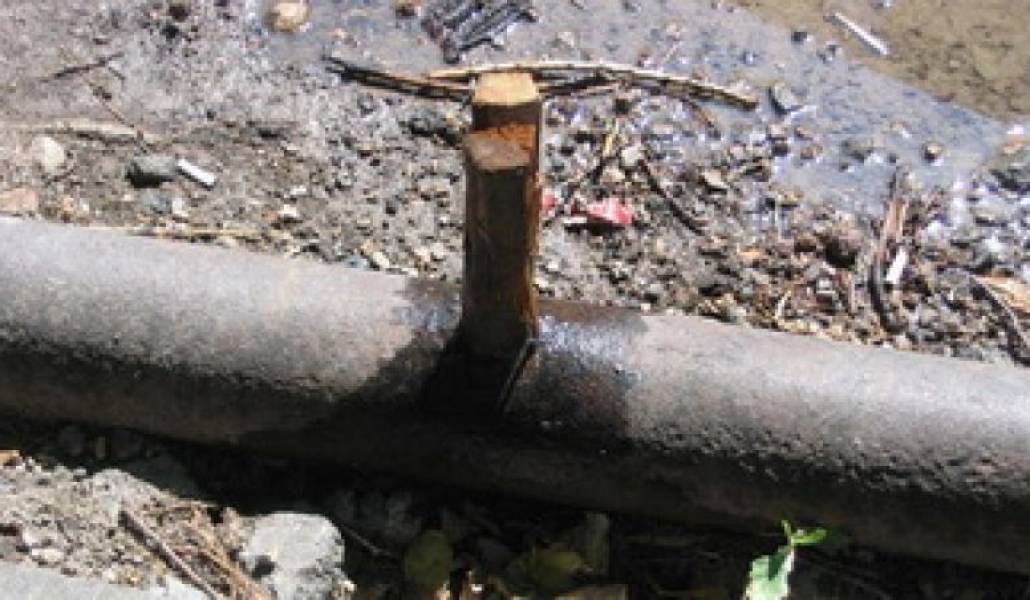 431582edb2b42b0865bd0bc3b63603be