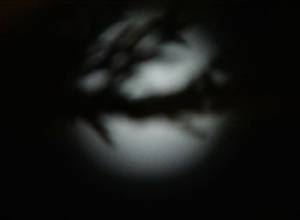 Full moon over Yerevan