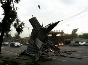 Будут предприняты шаги для ликвидации последствий сильного ветра