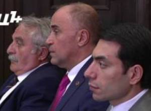 Վարչապետը կրկին անդրադարձավ մենաշնորհներին