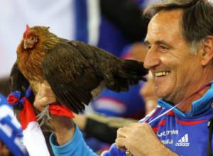 Կենդանի աքլորին արգելել են դիտել սիրելի թիմի խաղը