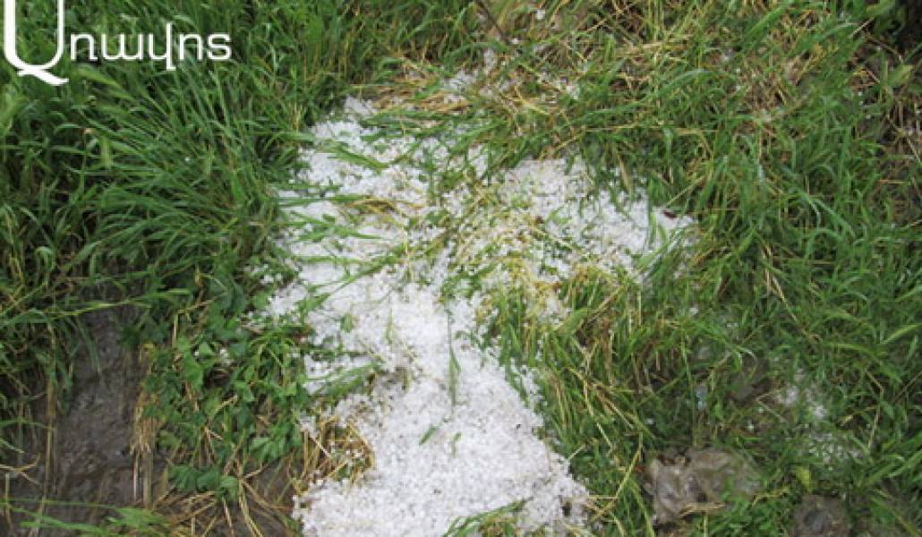 karkut-1