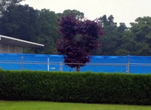 Сборная Англии будет недоступна для журналистов